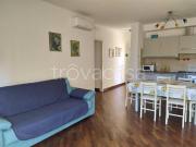 Appartamento in in affitto da privato a Massa via...