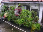 Appartamento in in affitto da privato a Milano ripa di...