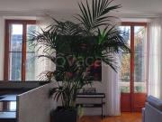 Appartamento in in affitto da privato a Milano via...