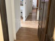 Appartamento in in affitto da privato a Milano via Elba,... Appartamento in in affitto da privato a Milano via Elba,...