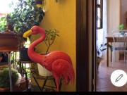 Appartamento in in affitto da privato a Milano via...