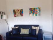 Appartamento in in affitto da privato a Milano via...