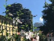 Appartamento in in affitto da privato a Milano via...