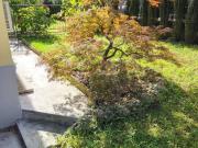 Appartamento in in affitto da privato a Milano via...