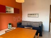 Appartamento in in affitto da privato a Milano viale...