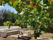 Appartamento in in affitto da privato a Modugno contrada...