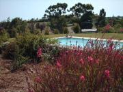 Appartamento in in affitto da privato a Montalto di...