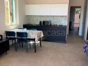 Appartamento in in affitto da privato a Monte Argentario...