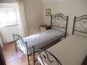 Appartamento in in affitto da privato a Monte...