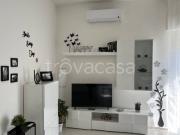 Appartamento in in affitto da privato a Montenero di...