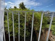 Appartamento in in affitto da privato a Napoli via Porta...