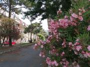 Appartamento in in affitto da privato a Nocera Terinese...