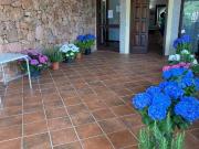 Appartamento in in affitto da privato a Olbia via Sa...