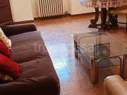 Appartamento in in affitto da privato a Paderno Dugnano...