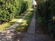 Appartamento in in affitto da privato a Pietrasanta via...