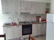 Appartamento in in affitto da privato a Pineto via della...