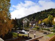 Appartamento in in affitto da privato a Pinzolo via...