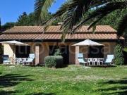 Appartamento in in affitto da privato a Piombino via dei...