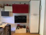 Appartamento in in affitto da privato a Roma piazza...