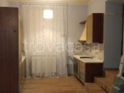 Appartamento in in affitto da privato a Roma via Antonio...