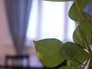 Appartamento in in affitto da privato a Roma via...