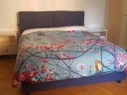 Appartamento in in affitto da privato a Roma via...