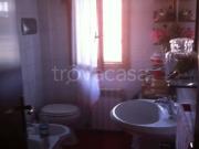 Appartamento in in affitto da privato a Roma via Muro...