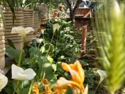 Appartamento in in affitto da privato a Roma via...
