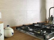 Appartamento in in affitto da privato a Roncola via San...