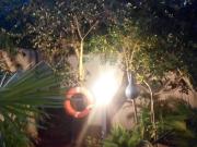 Appartamento in in affitto da privato a San Felice...