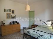 Appartamento in in affitto da privato a San Felice...