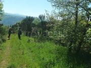 Appartamento in in affitto da privato a San Felice...