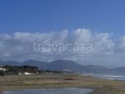 Appartamento in in affitto da privato a San Felice...