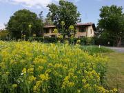 Appartamento in in affitto da privato a San Lazzaro di...