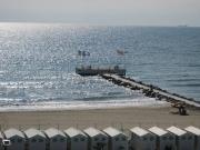 Appartamento in in affitto da privato a Venezia...