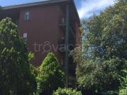 Appartamento in in affitto da privato a Viterbo via Arma...