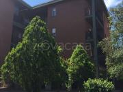 Appartamento in in affitto da privato a Viterbo via Arma...