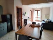 Appartamento in in affitto da privato ad Alba località...