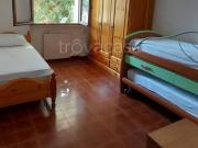 Appartamento in in affitto da privato ad Anzio via delle...