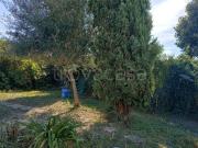 Appartamento in in affitto da privato ad Aprilia via...