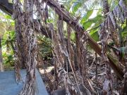 Appartamento in vendita a Acireale CT