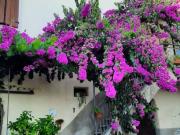 Appartamento in vendita a Affi VR