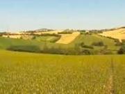 Appartamento in vendita a Agugliano AN