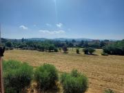 APPARTAMENTO in VENDITA a AREZZO di 4 vani