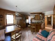 Appartamento in vendita a Auronzo di Cadore BL