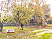 Appartamento in vendita a Avezzano AQ