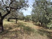 Appartamento in vendita a Bevagna PG