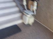 Appartamento in vendita a Bisceglie BT