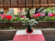 Appartamento in vendita a Bologna BO