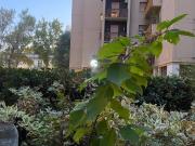 Appartamento in vendita a Bologna BO Appartamento in vendita a Bologna BO